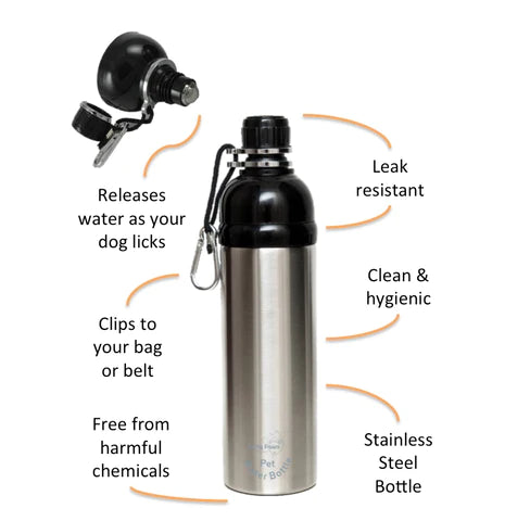 Water Bottle